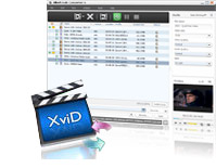 DivX convertisseur