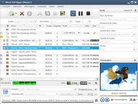 Xilisoft DVD Ripper Screenshot